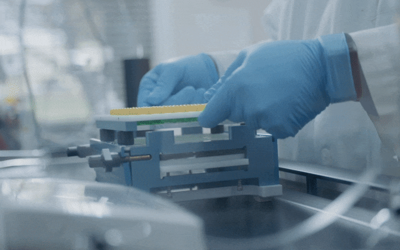 155232a403be03a0cf753d187269c50d_1727767908_2961.gif